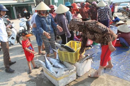 Can canh dan ca thu hon hai tan mac luoi ngu dan Ha Tinh-Hinh-7